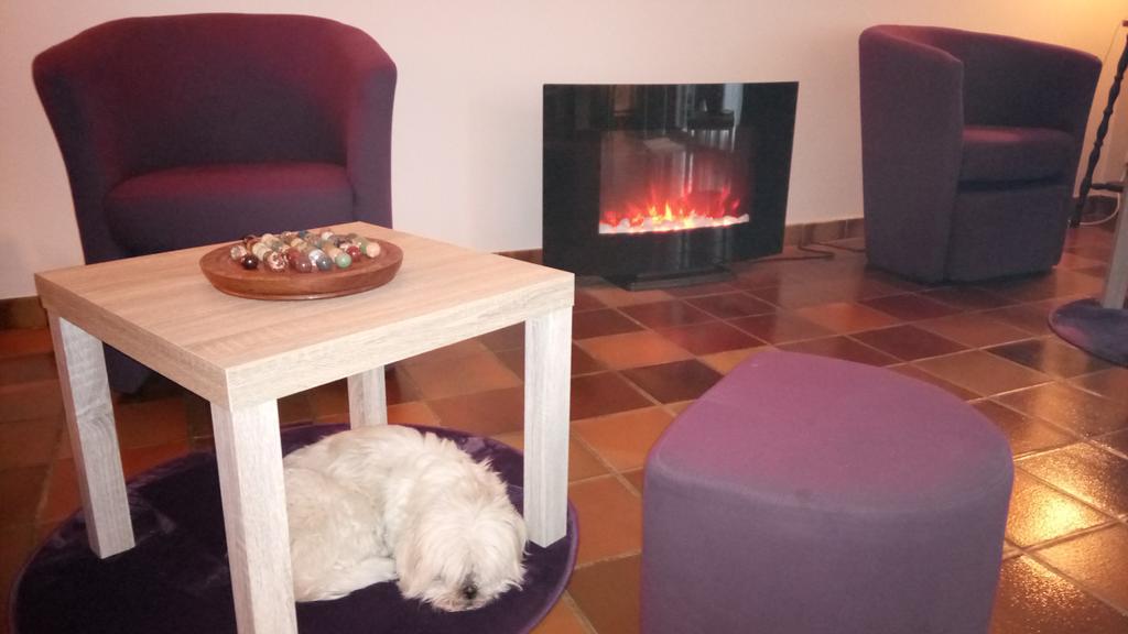 Hotel Montespan Lussac les Chateaux Bagian luar foto